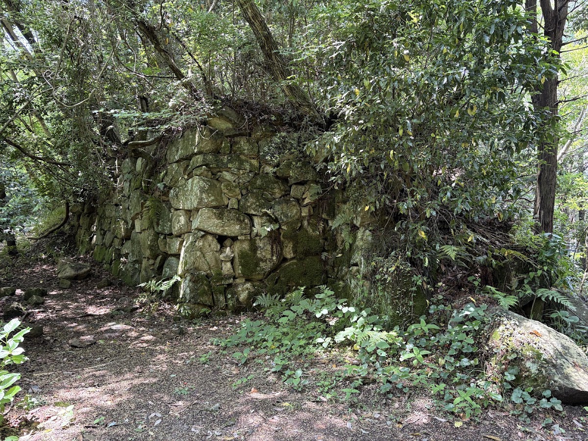 觀音寺城(観音寺城) 實景照片 4