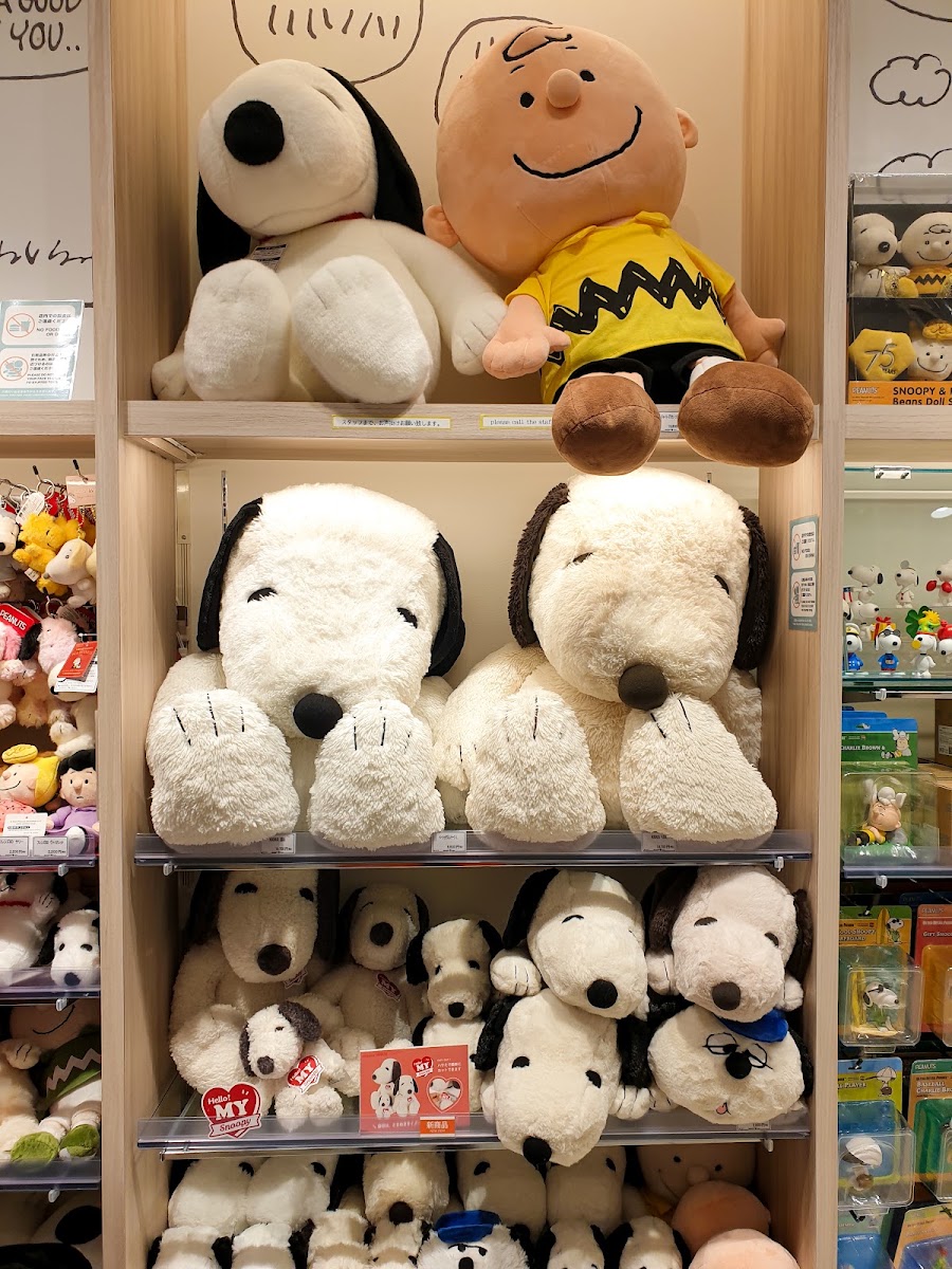 KIDDY LAND 京都四條河原町店(キデイランド 京都四条河原町店) 實景照片 10