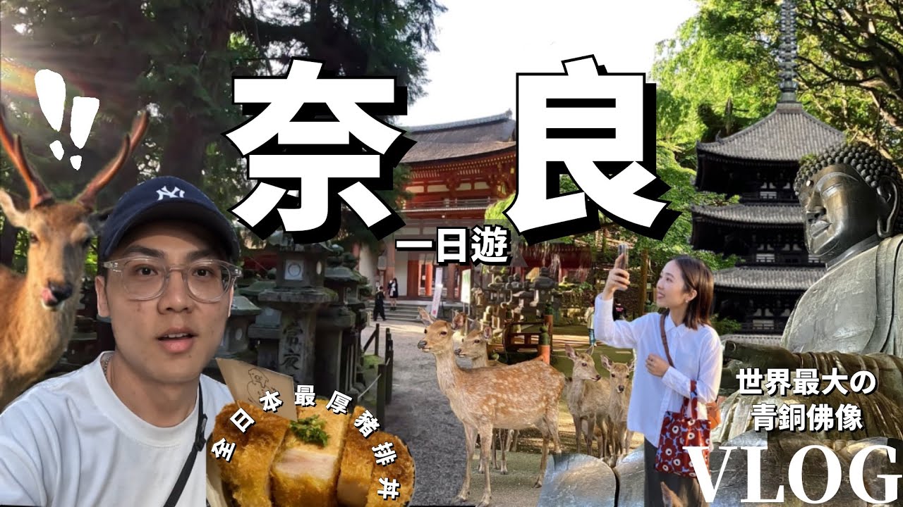 【奈良一日遊Vlog】超壯觀🤩奈良必訪景點!不只能餵鹿而已!療癒身心的知性之旅!世上最大青銅佛像!全日本最厚豬排丼!奈良公園/興福寺/東大寺/春日大社/若草山|日本旅遊Traveling