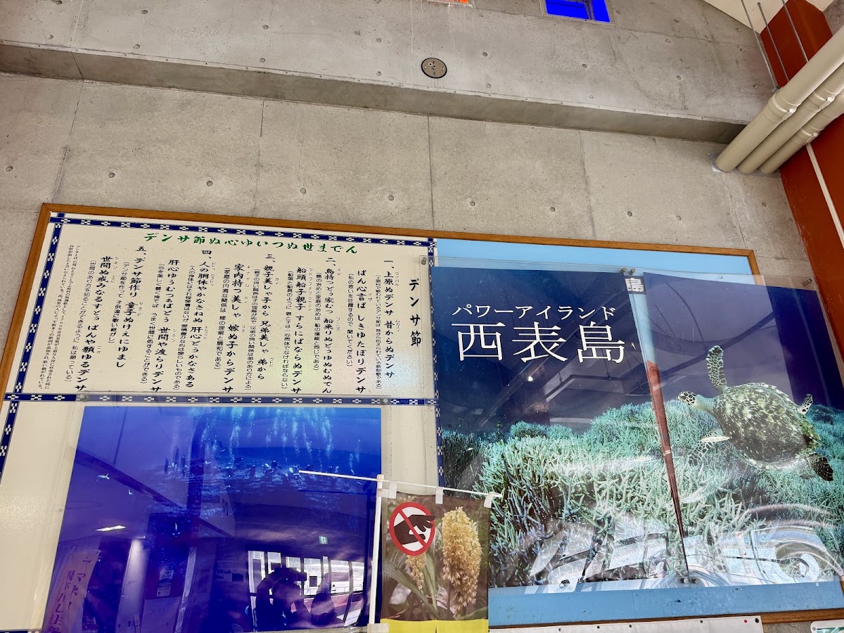 西表島 上原港(上原港) 實景照片 4
