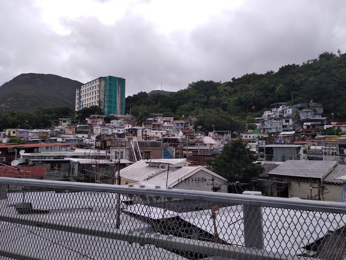 置富花園 Chi Fu Fa Yuen 停車場 實景照片 9