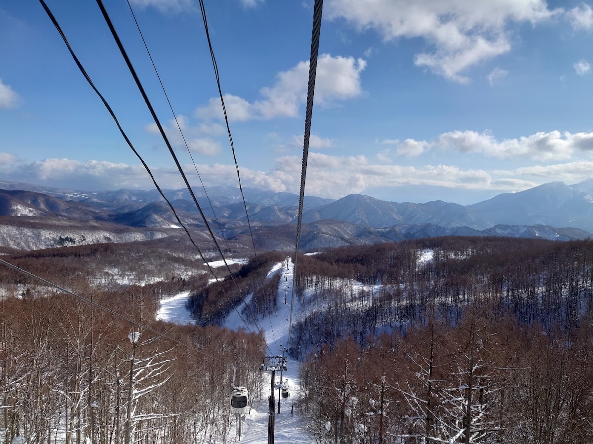 從纜車俯瞰的雪山與森林風光