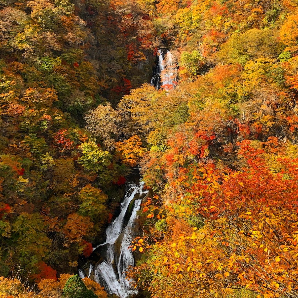秋季山谷中的瀑布全景