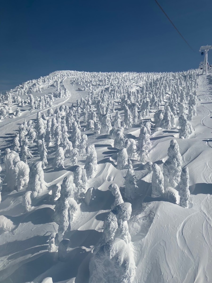 山形藏王溫泉滑雪場（山形蔵王温泉スキー場） 實景照片 2