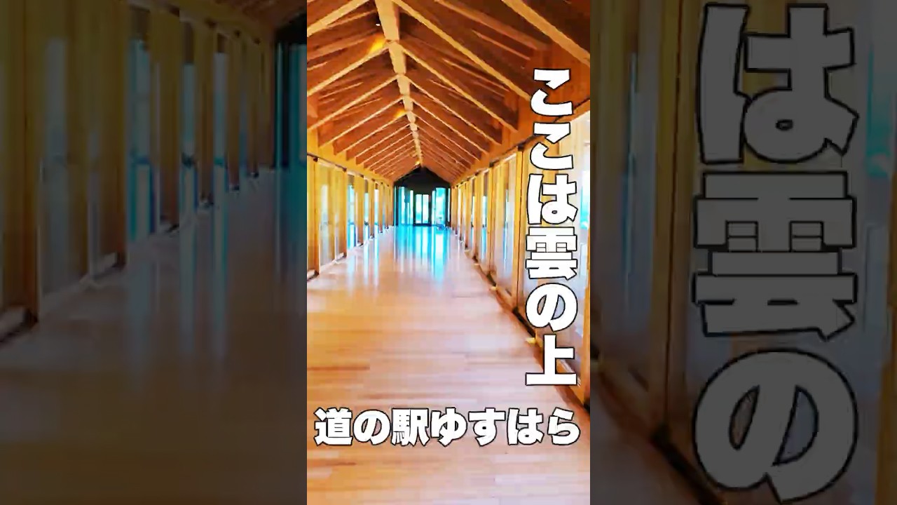 キャンプ場！温泉にプールも！【高知県観光】雲の上の道の駅「ゆすはら」を散策してみた【旅行VLOG、レビュー】あの隈研吾氏が設計！ #道の駅ゆすはら #高知県 #梼原町 #道の駅 #隈研吾 #キャンプ場