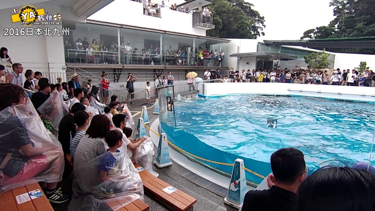 2016.07.16 日本九州長崎西海国立公園九十九島水族館海きらら海豚表演秀
