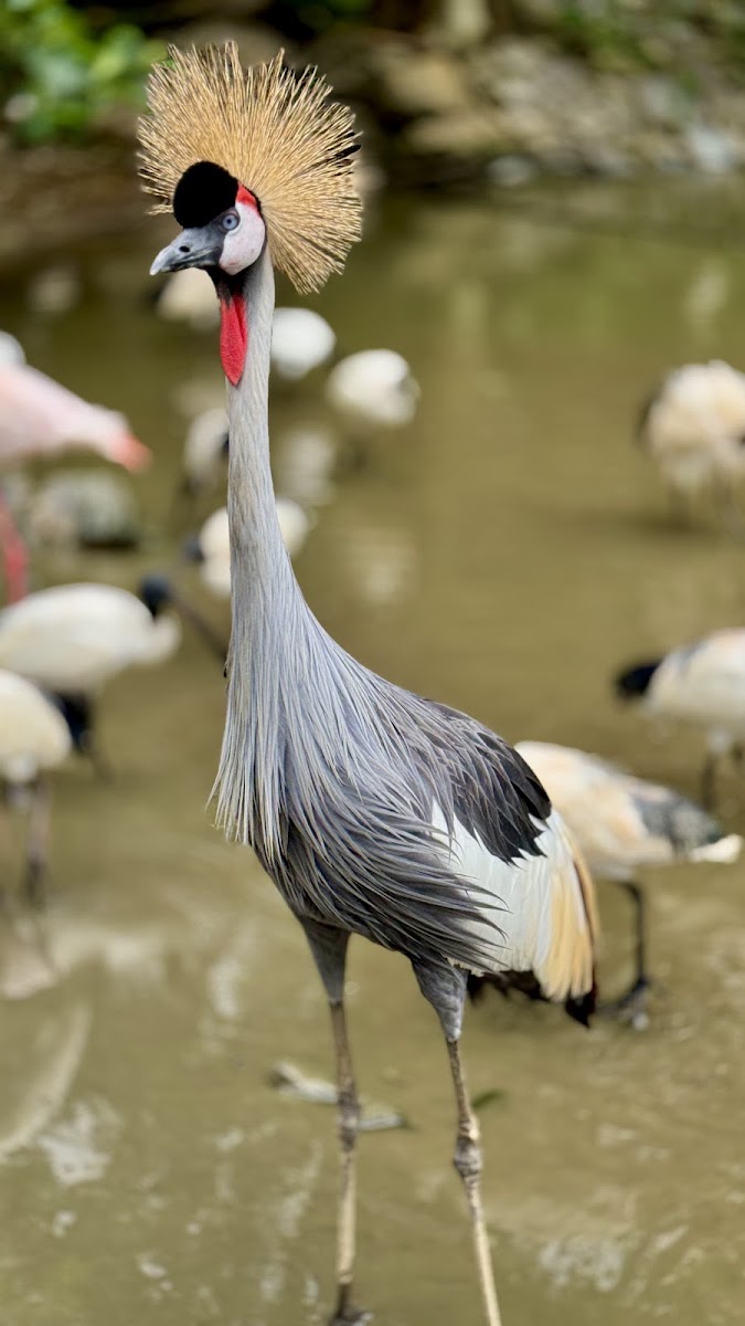 名護自然動植物公園(ネオパークオキナワ) 實景照片 4