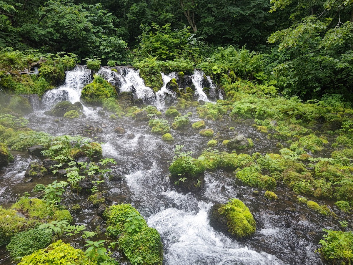 道之驛 名水之鄉京極（道の駅 名水の郷きょうごく） 實景照片 3