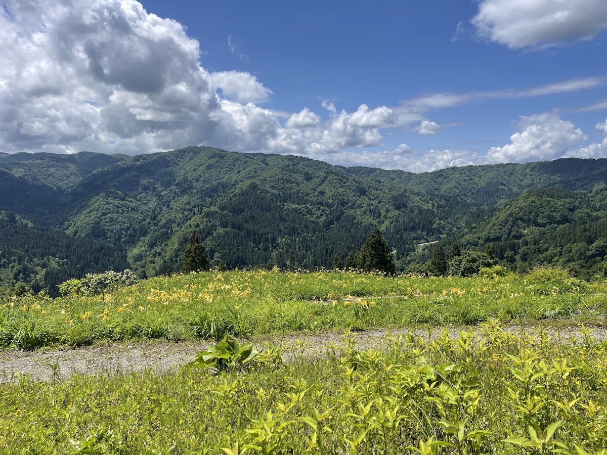 藍天白雲下的山景與黃花草原