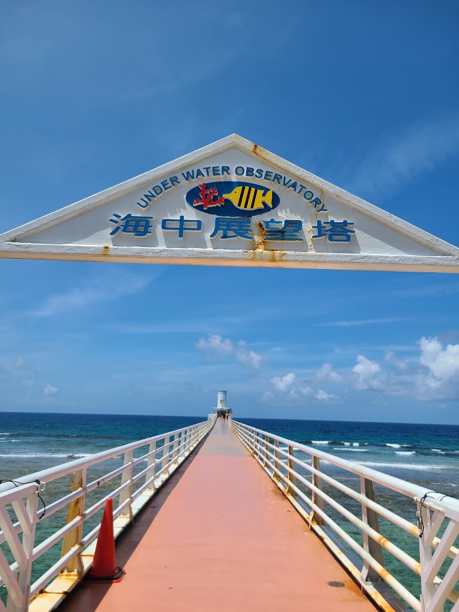 部瀨名海中公園（ブセナ海中公園） 實景照片 4