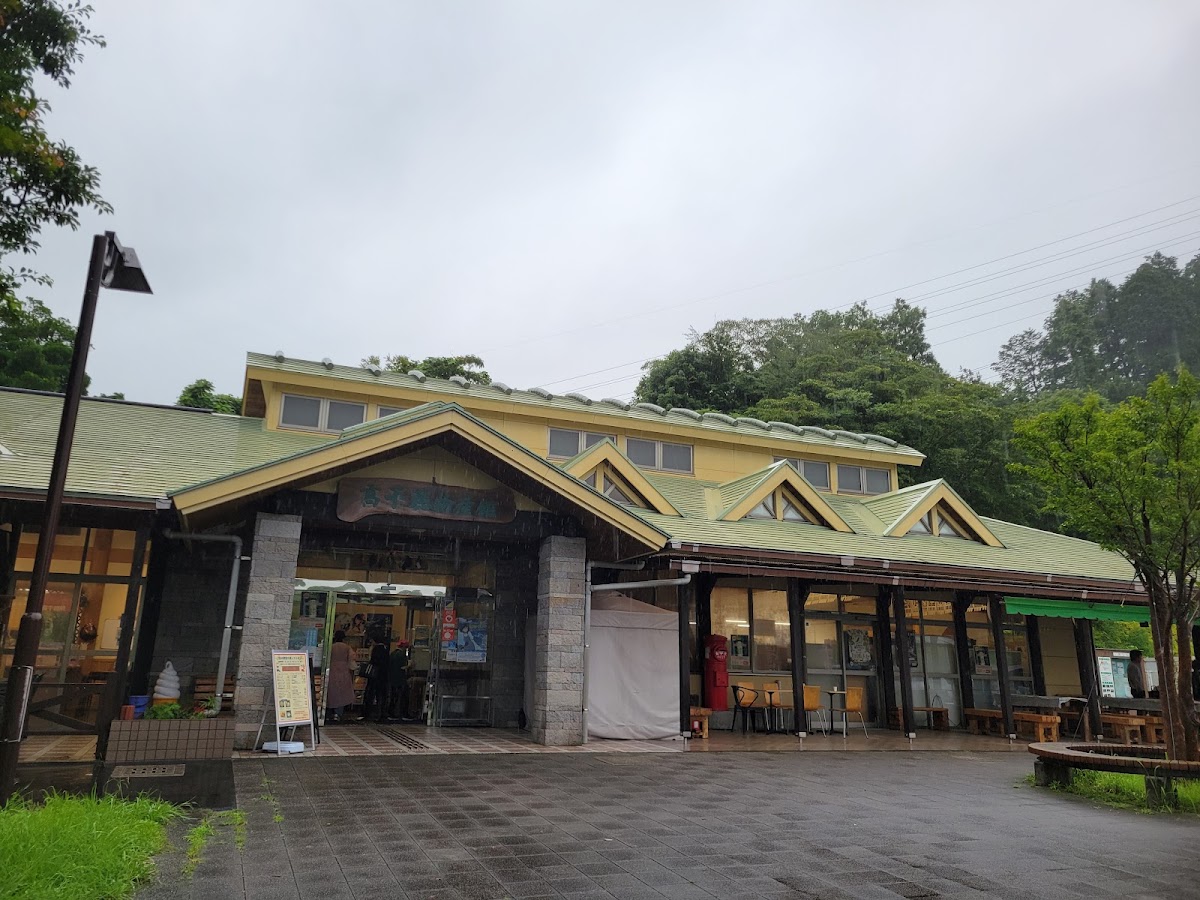 道之驛 高千穗(道の駅 高千穂) 實景照片 4