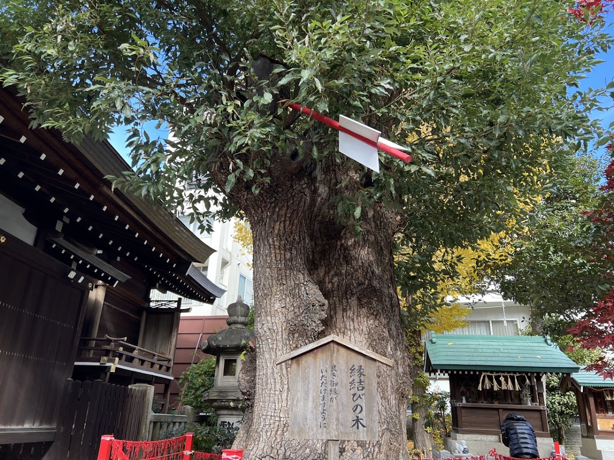 三輪神社 實景照片 8