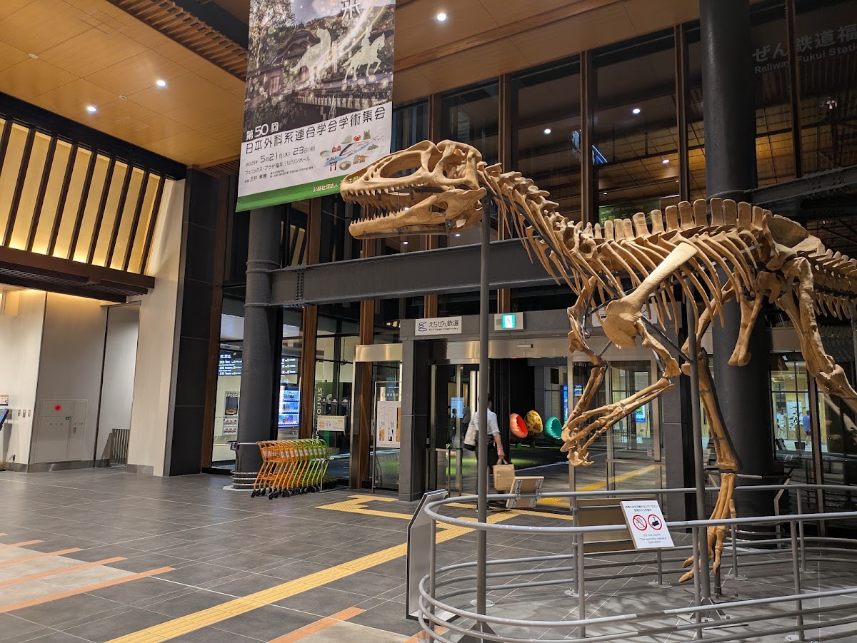 JR福井站 新幹線（JR福井駅） 實景照片 6
