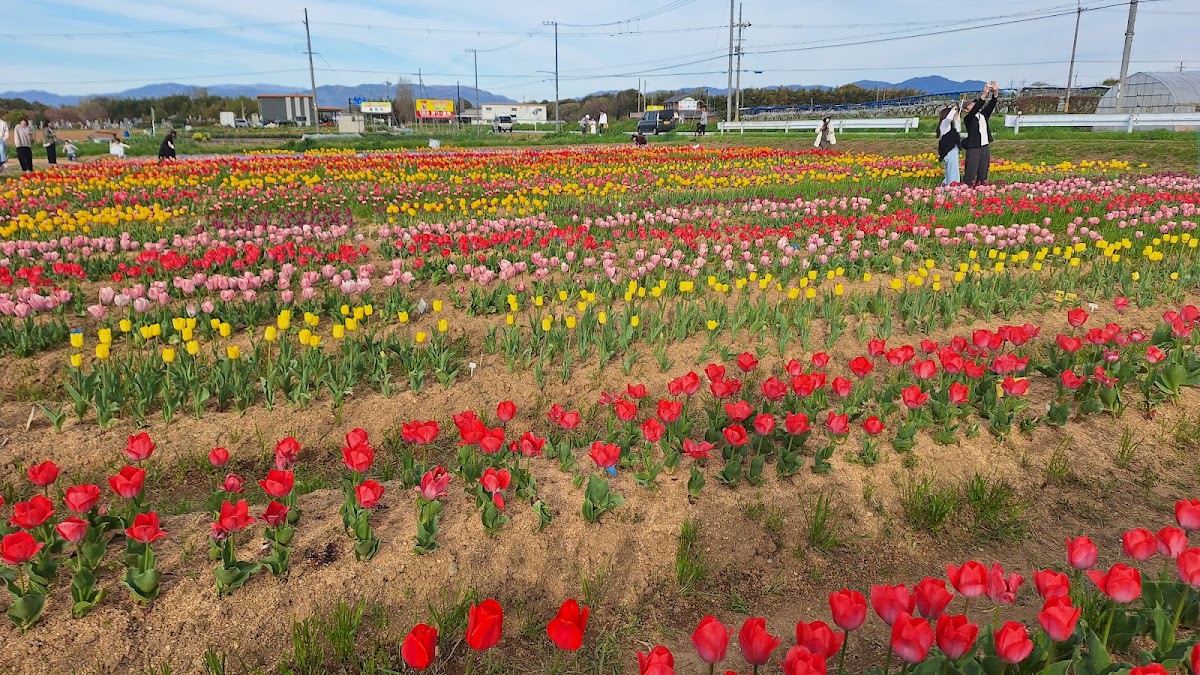 道之驛 Agri Park 龍王（道の駅 アグリパーク竜王） 實景照片 8