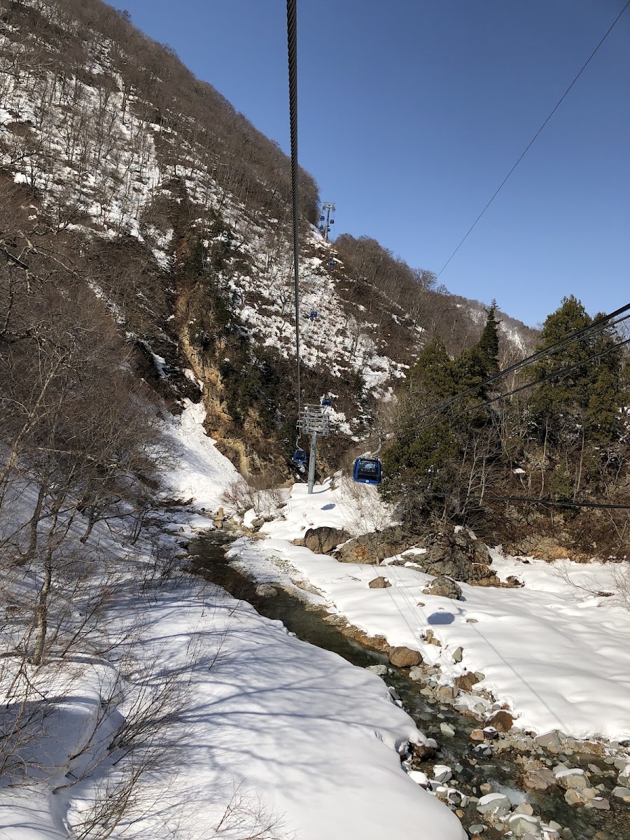 苗場滑雪場(苗場スキー場) 實景照片 9