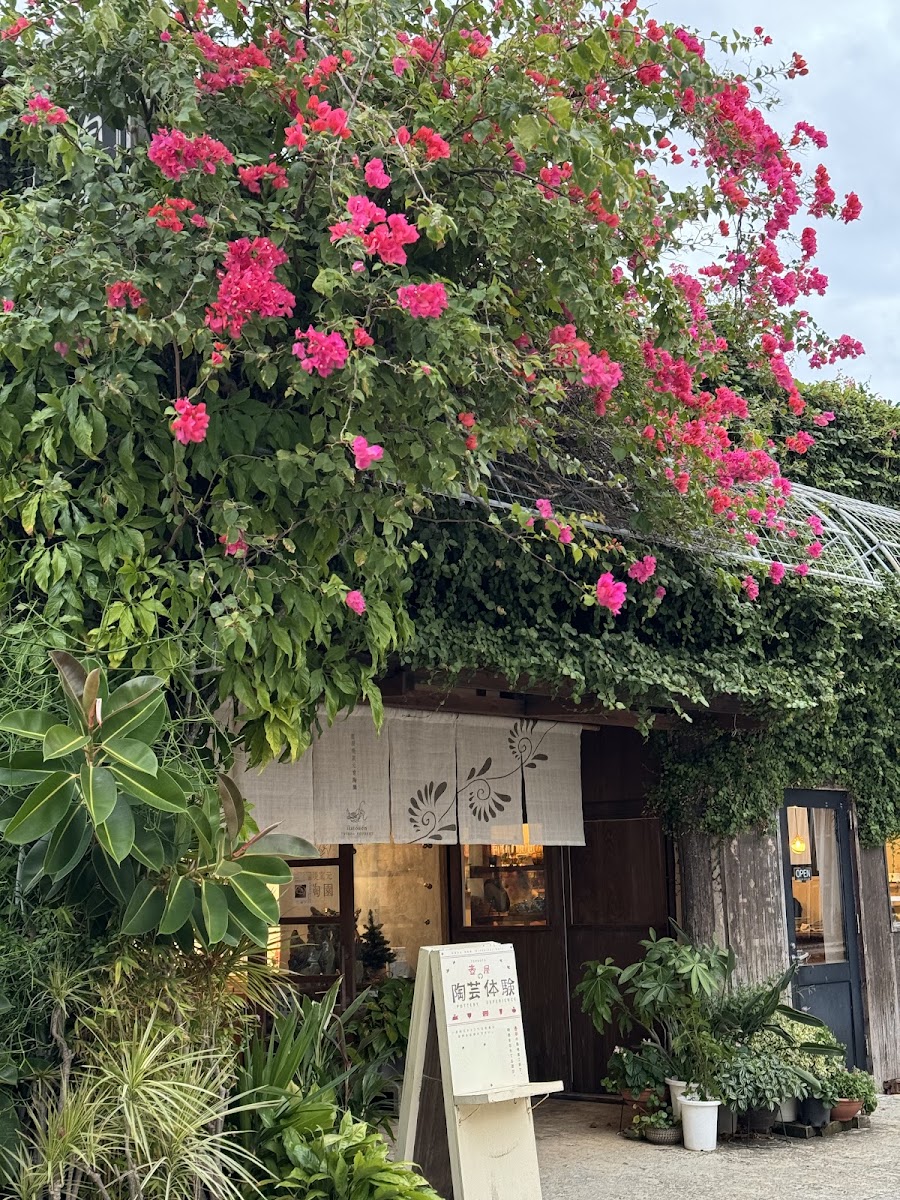 被粉紅九重葛花叢覆蓋的店鋪外觀