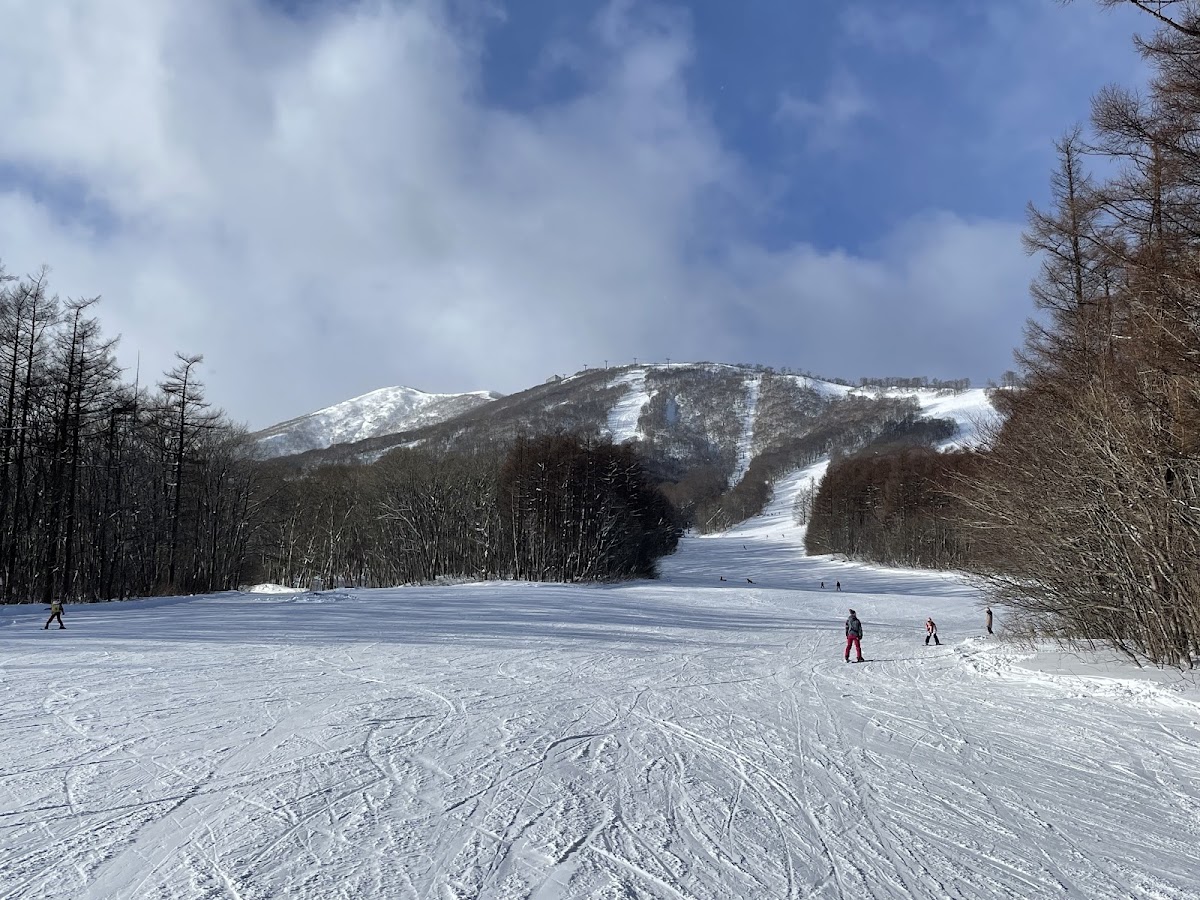 雫石滑雪場(雫石スキー場) 實景照片 6