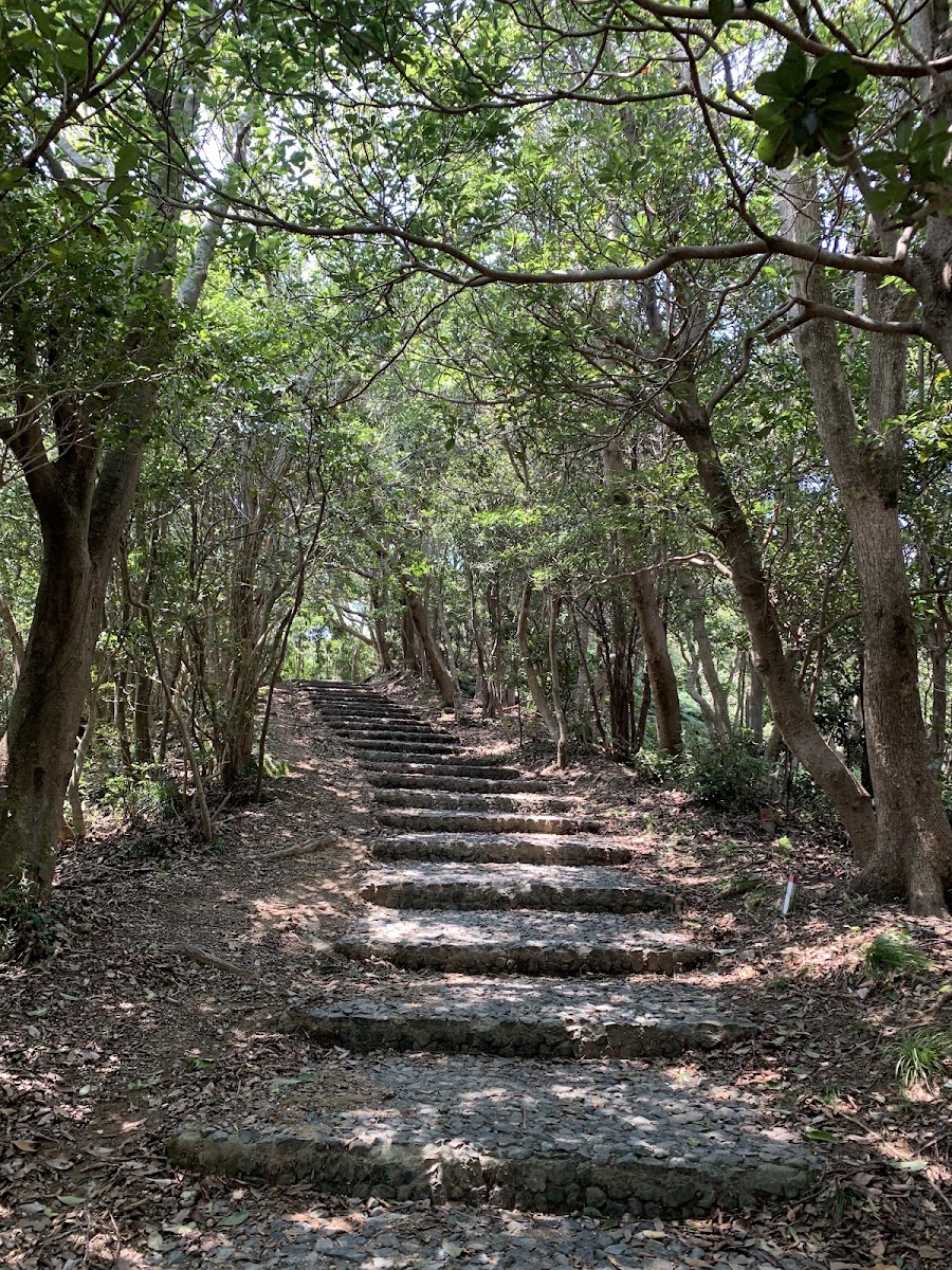 橫山展望台(横山展望台) 實景照片 5