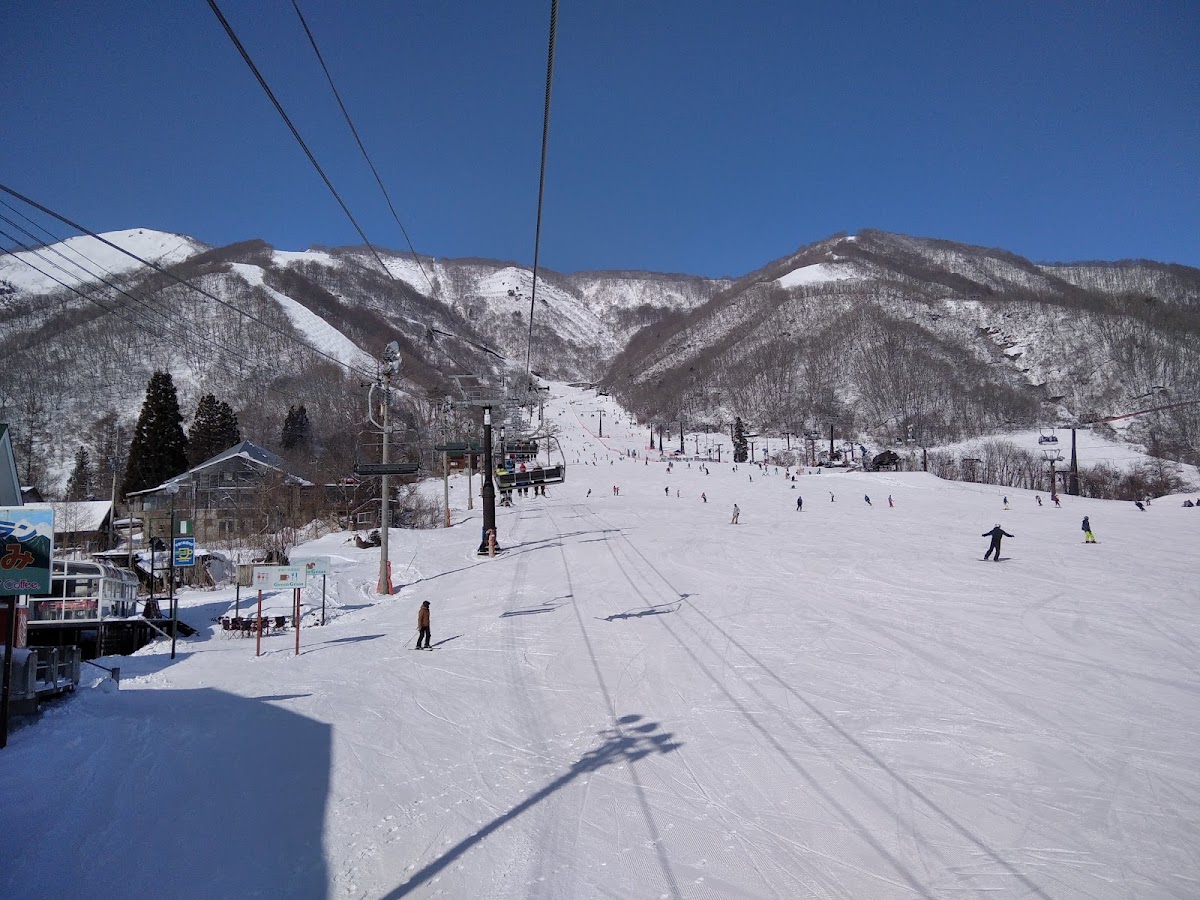 白馬五龍滑雪場(エイブル白馬五竜) 實景照片 6