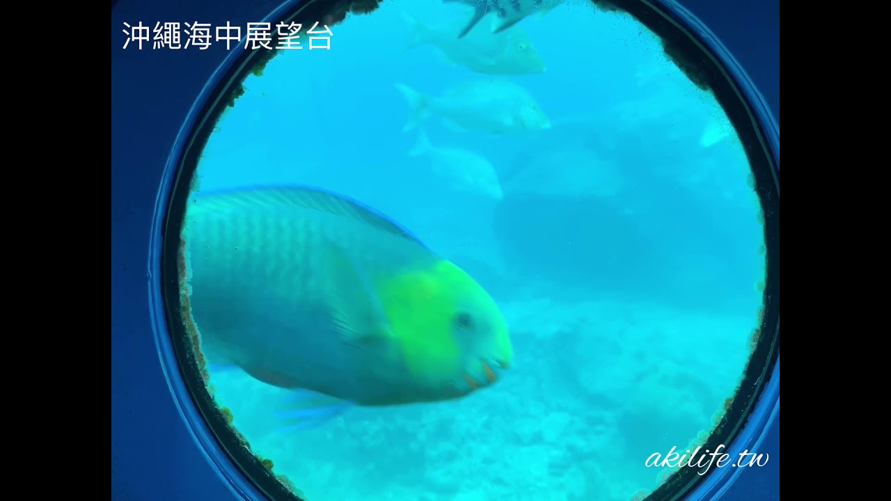 沖繩BUSENA部瀨名海中公園◎海中展望塔