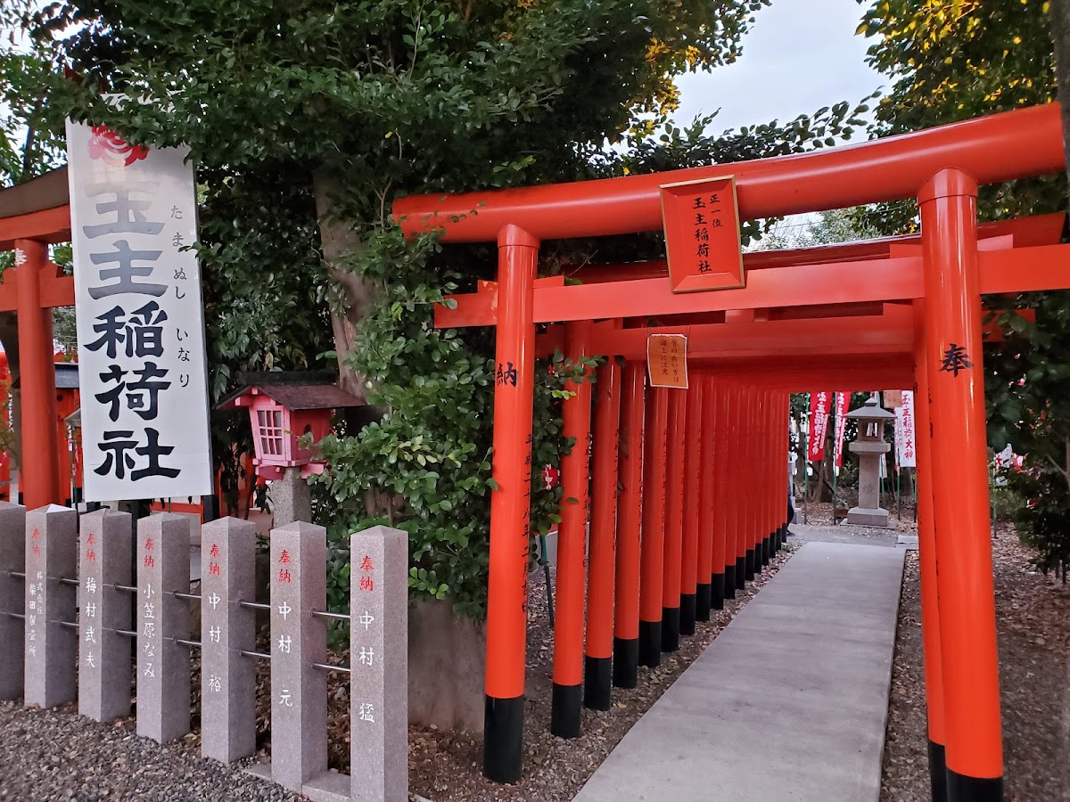 玉主稻荷社的紅色鳥居隧道