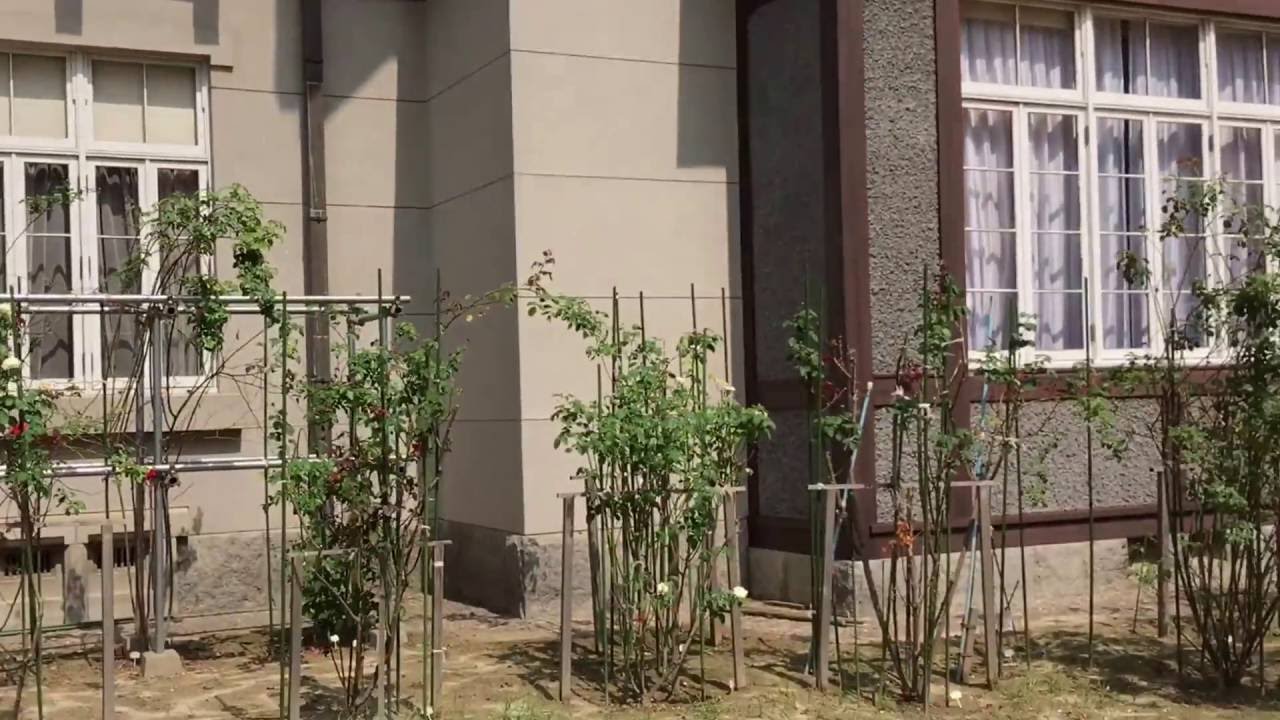 《九州•旅》北九州市門司港必訪景點～舊門司三井俱樂部（20160908）