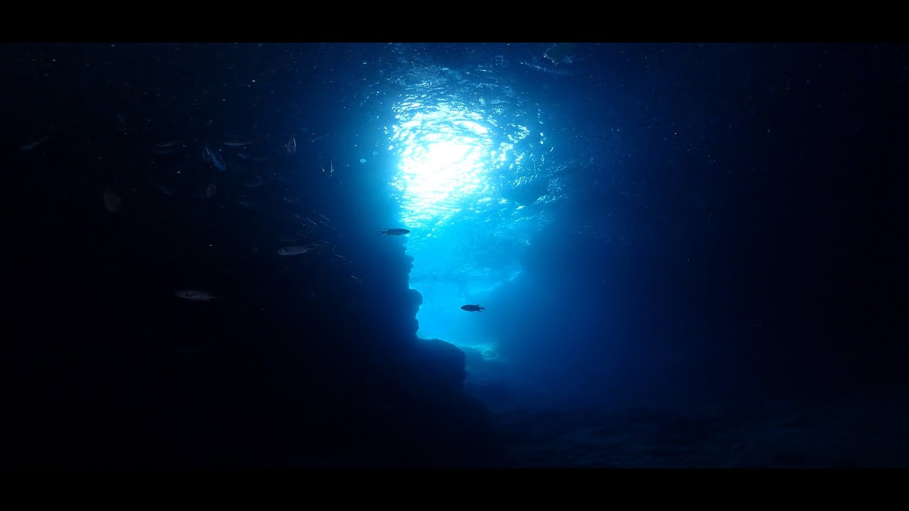 沖繩青之洞窟浮潛.潛水 ╴100%台灣人經營沖繩藍okinawablue