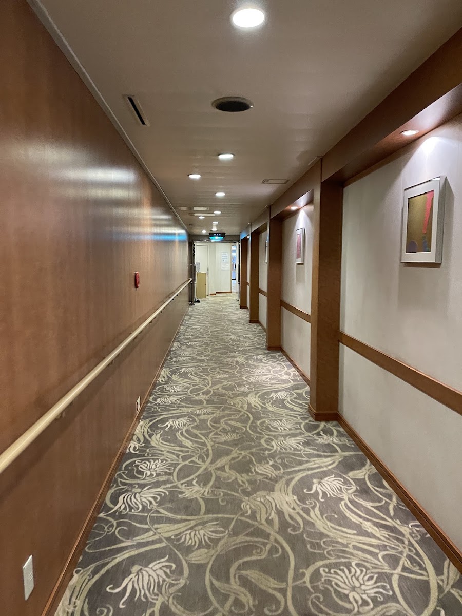 舞鶴港渡輪碼頭（舞鶴港） 實景照片 9