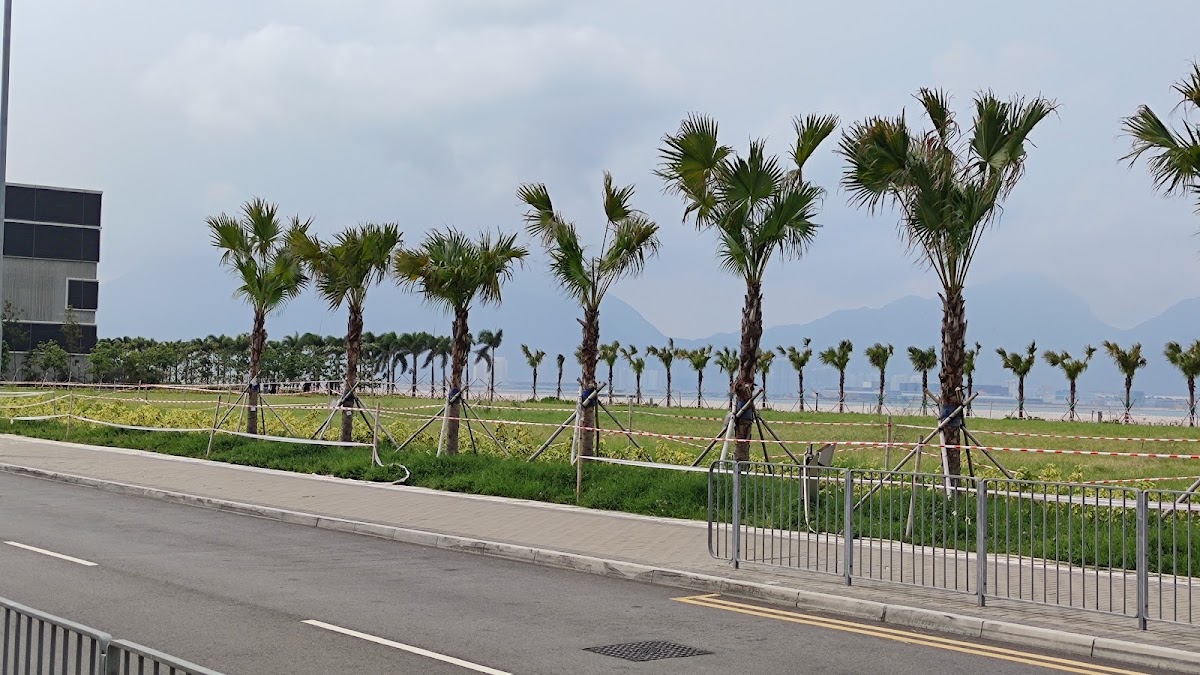 浩和街停車位 實景照片 3
