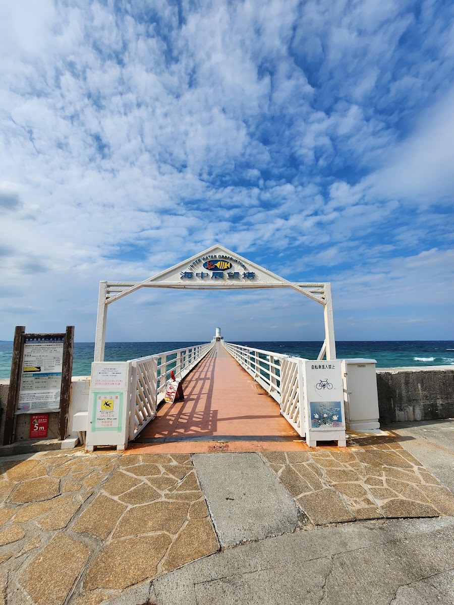 部瀨名海中公園（ブセナ海中公園） 實景照片 5