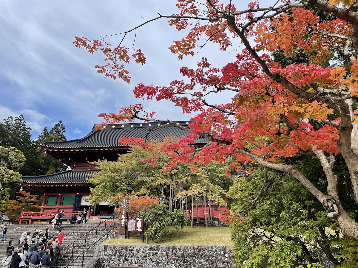 輪王寺三佛堂與秋季紅葉大景