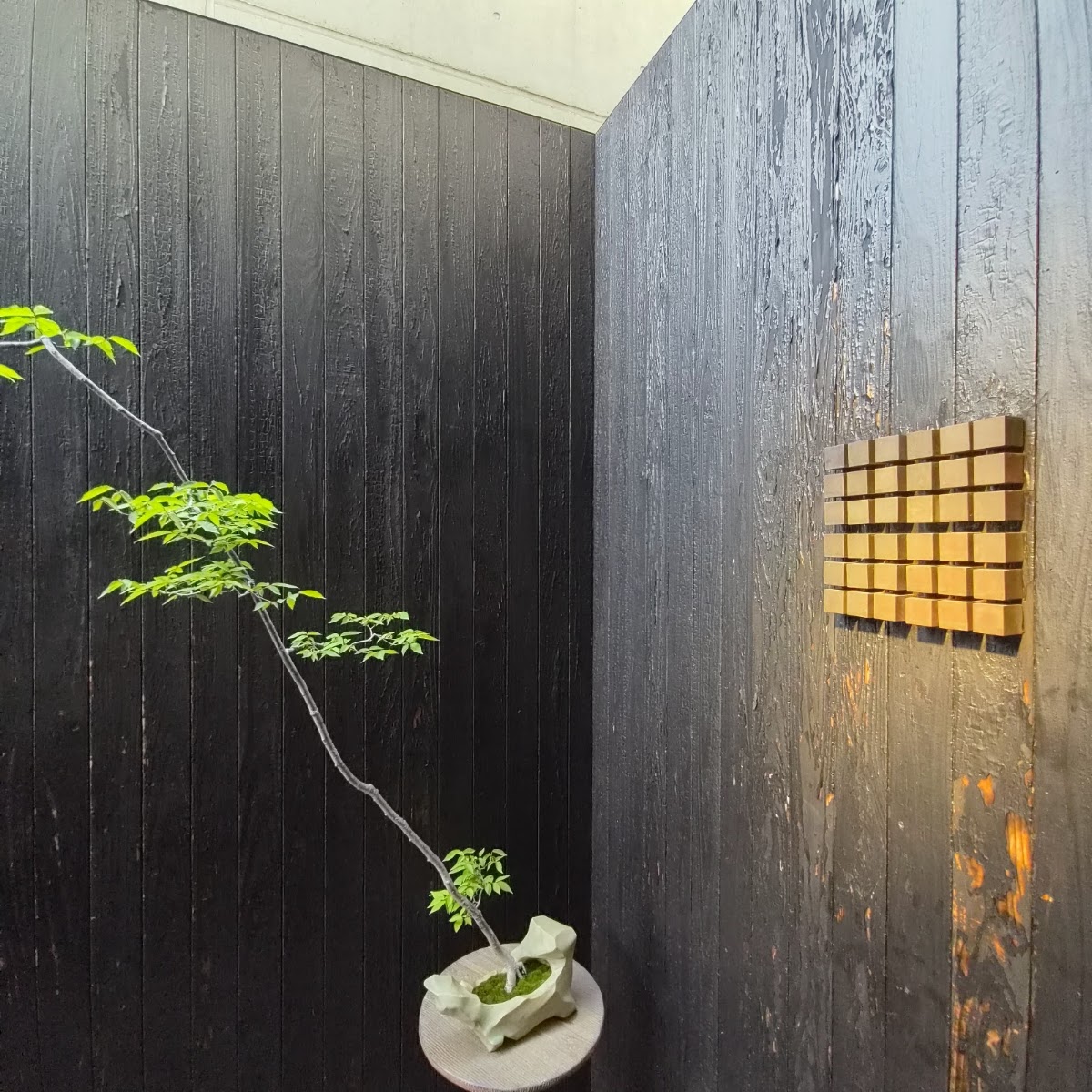 Koffee Mameya 表參道(KOFFEE MAMEYA) 實景照片 7