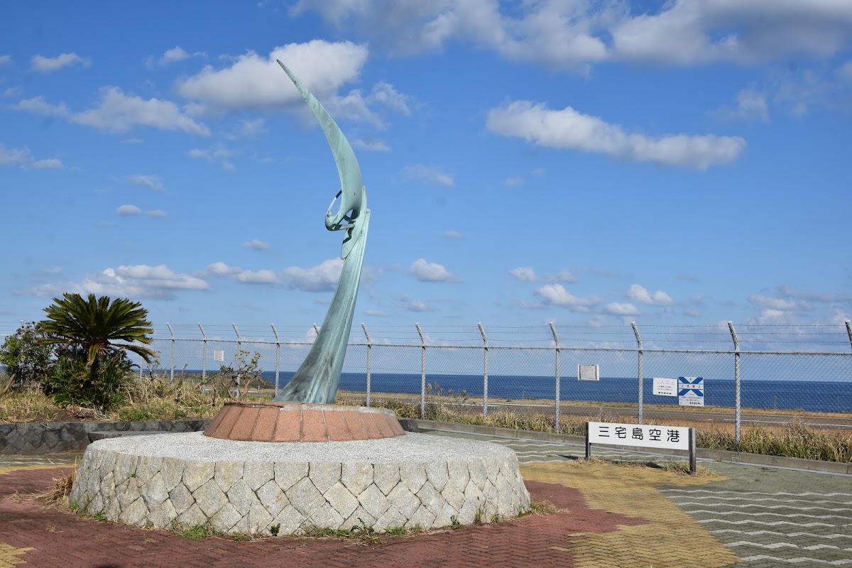 三宅島機場 MYE(三宅島空港) 實景照片 4