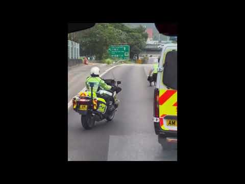車CAM直擊 - 狗狗公路遊走 警員封路捉狗