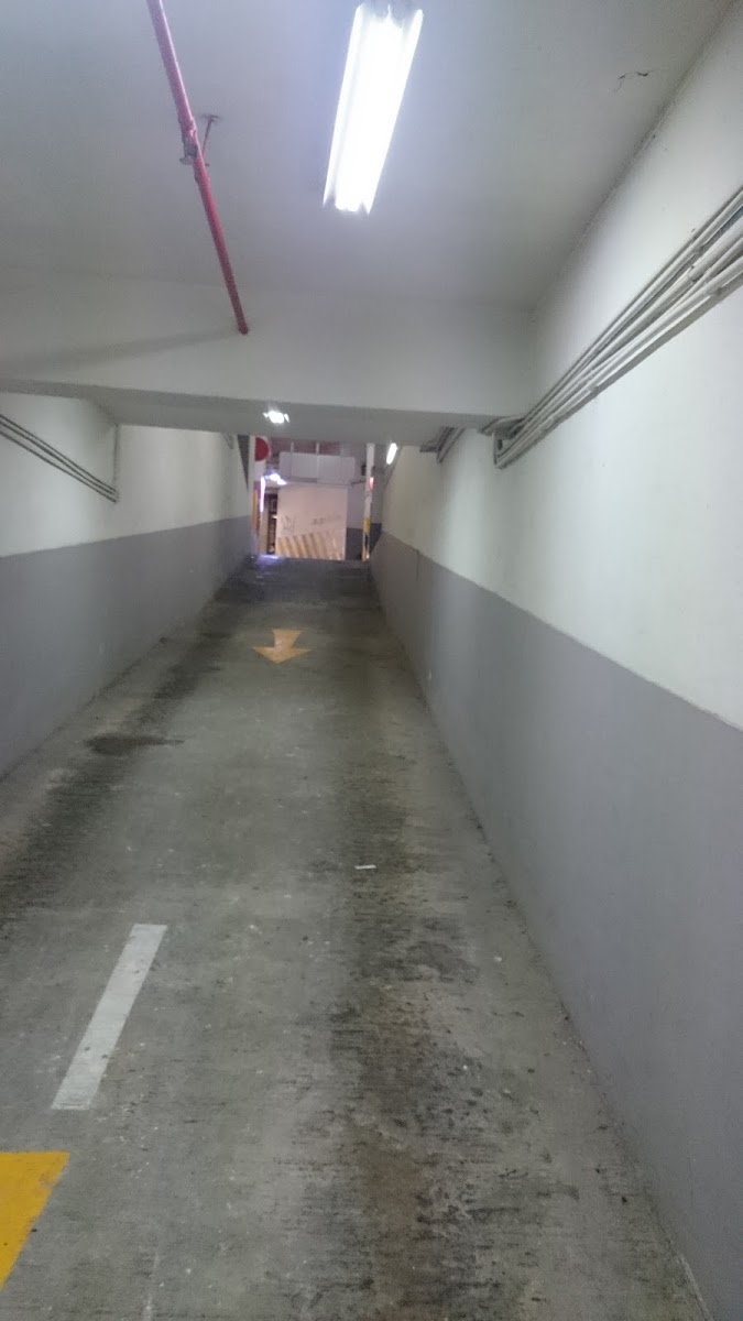 怡安閣停車場 實景照片 8