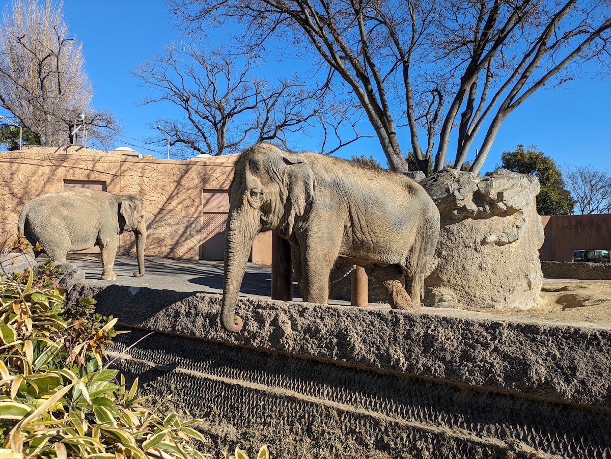 日立神峰公園(日立かみね公園) 實景照片 6