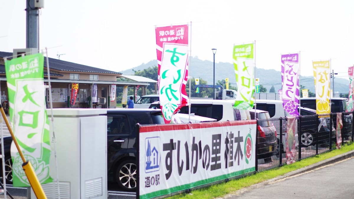 道之驛 西瓜之鄉植木(道の駅 すいかの里 植木) 實景照片 1