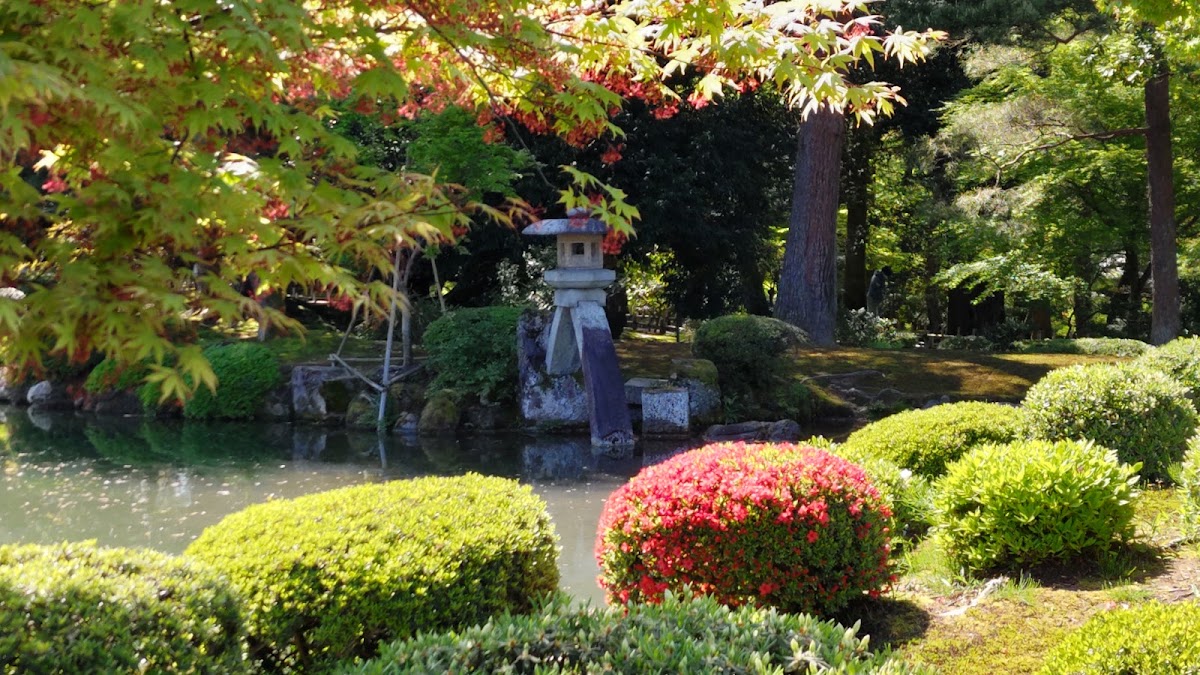 兼六園 實景照片 8