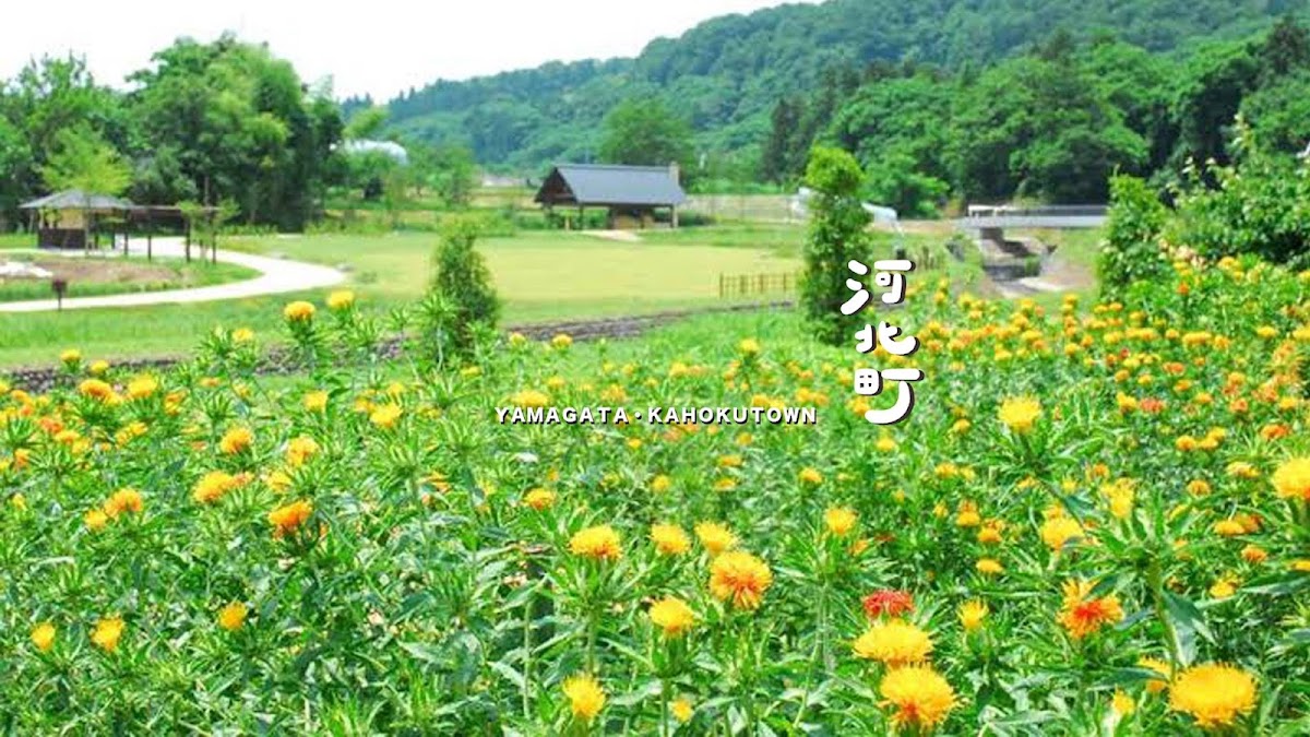 道之驛 河北（道の駅 河北） 實景照片 1