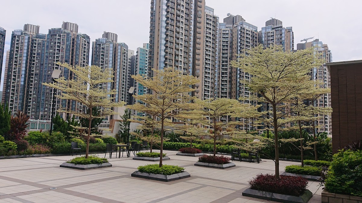 將軍澳中心 Park Central 停車場 實景照片 5