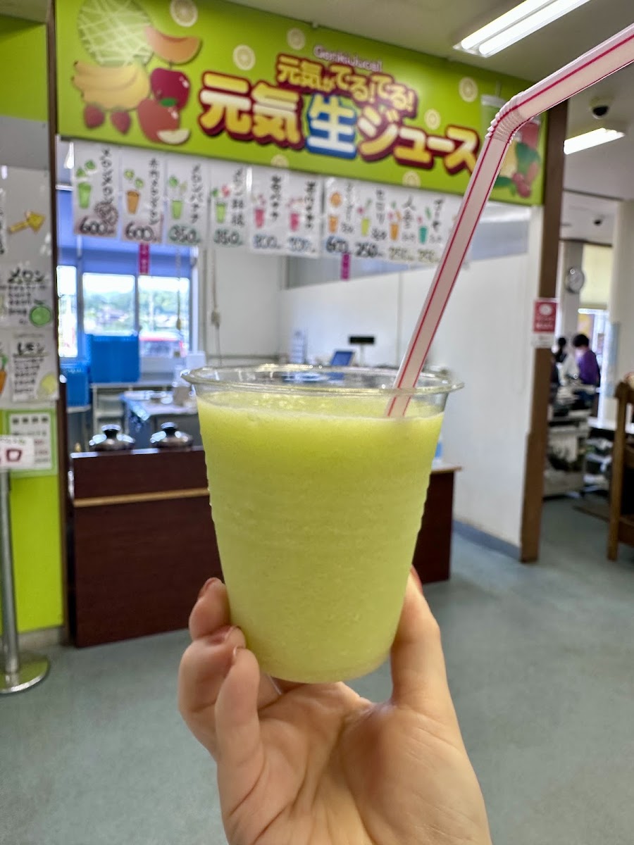 道之驛 七城哈密瓜穹頂（道の駅 七城メロンドーム） 實景照片 7