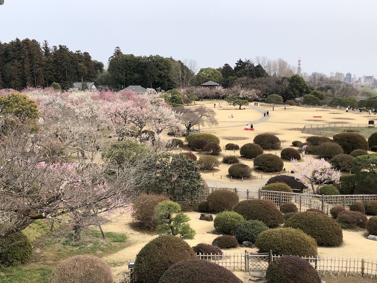 偕樂園(偕楽園) 實景照片 5