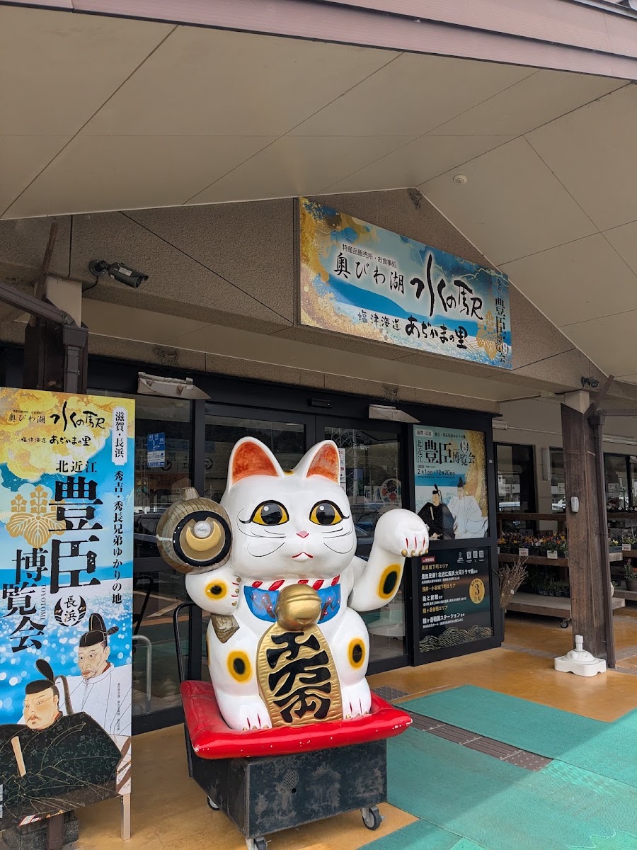 道之驛 鹽津海道亞知鴨之里(道の駅 塩津海道あぢかまの里) 實景照片 3