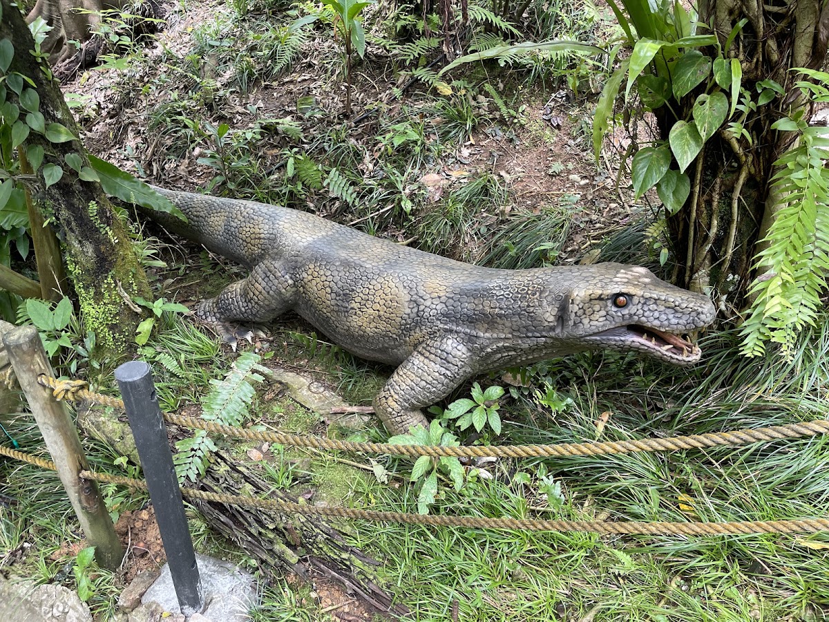 DINO恐龍PARK山原亞熱帶之森(DINO恐竜PARK やんばる亜熱帯の森) 實景照片 5