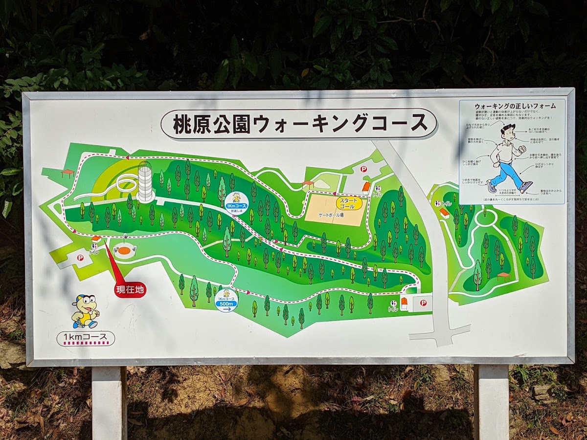 桃原公園 實景照片 5