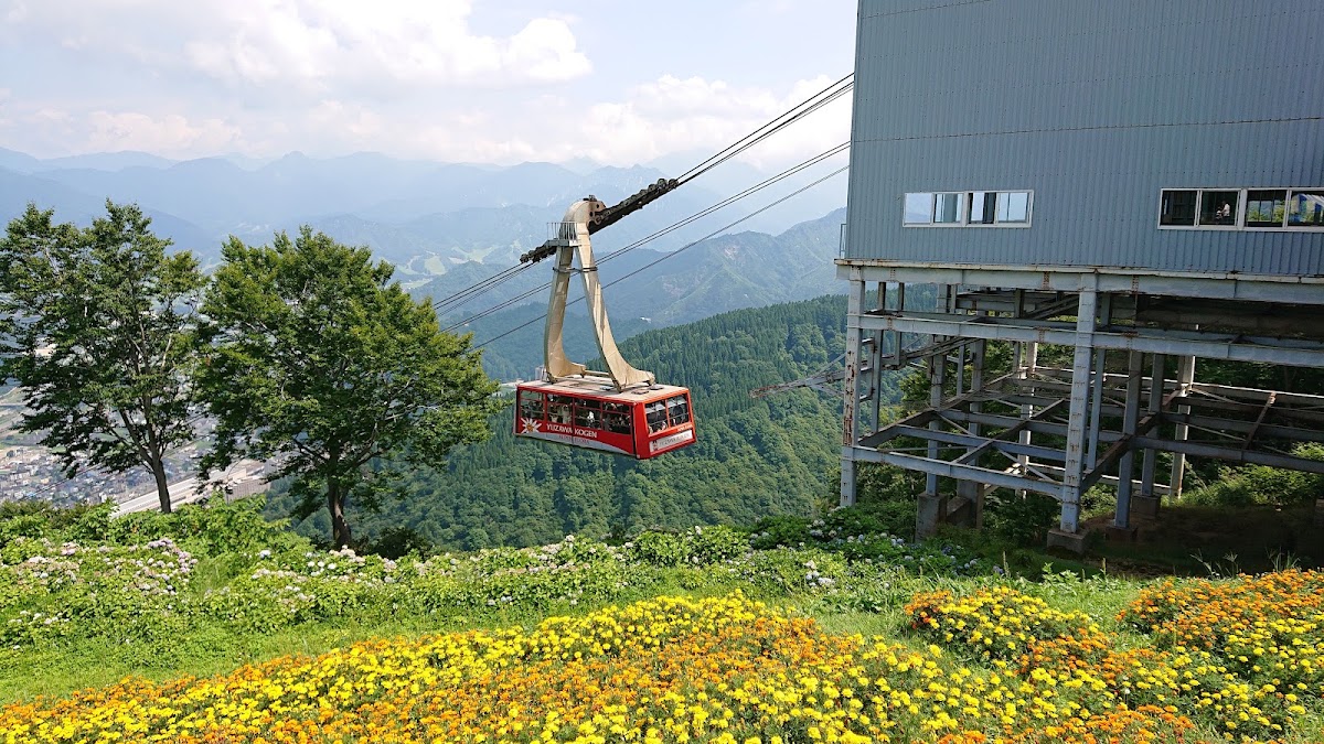 夏日花海與紅色纜車
