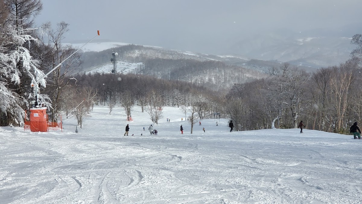 Meiho滑雪場（めいほうスキー場） 實景照片 7