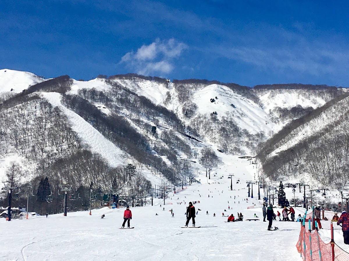 白馬五龍滑雪場(エイブル白馬五竜)