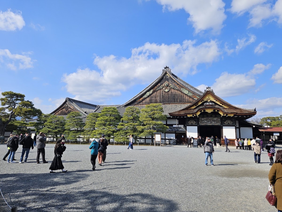 二條城(二条城) 實景照片 1