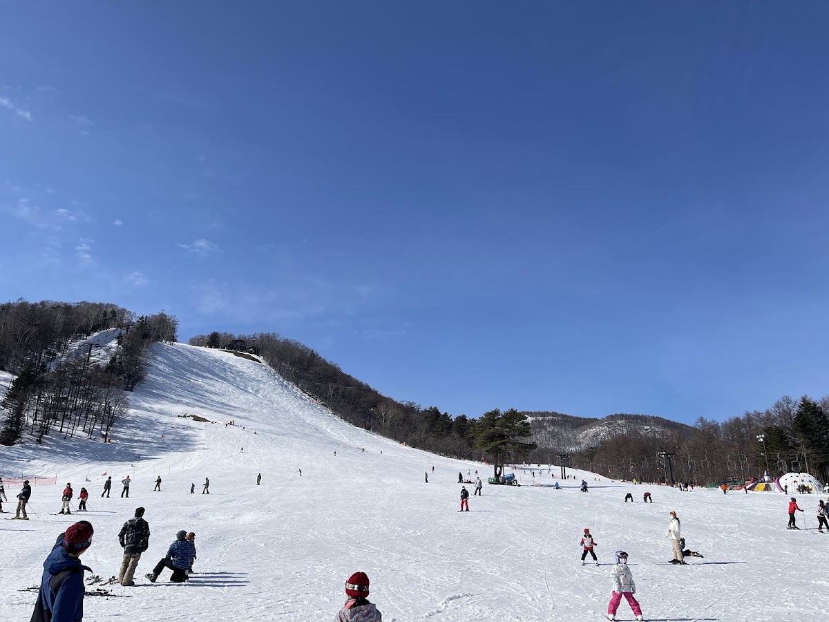 陽光燦爛的滑雪場大景